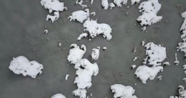 Donmuş gölet bir kar ve bitkileri ile kaplı bir karla kaplı. Kış manzarası.