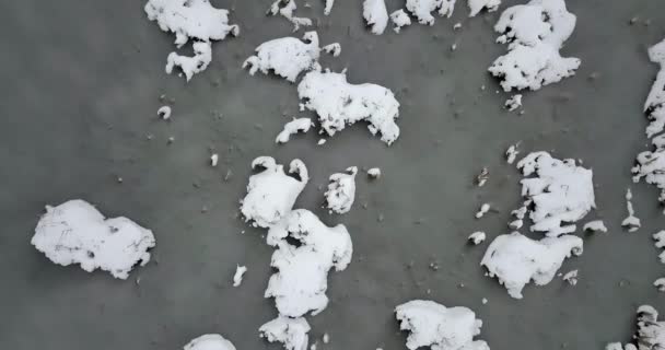 雪と植物で覆われて凍った池は雪で覆われています。冬の風景. — ストック動画