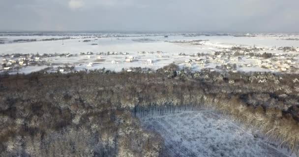 Vue aérienne sur une forêt enneigée couverte de neige à proximité de bâtiments de campagne. Survolez la forêt gelée de sapins neigeux et de pins. Forêt épaisse en hiver. forêt de conifères en hiver . — Video