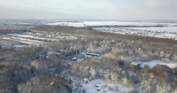 Лесное хозяйство. Снежные деревья и ветки с видом на зимний лес. Зимний пейзаж, лес, деревья, покрытые морозом, снег. Рождественская елка, покрытая снегом . — стоковое видео