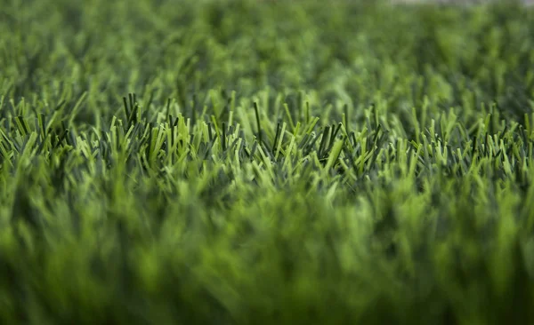 Künstlichen grünen Rasen Textur Hintergrund Seitenansicht. — Stockfoto