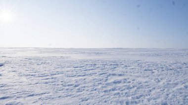 Bir alan kış sezonunda bir karla kaplı. Kış kırsal manzara.