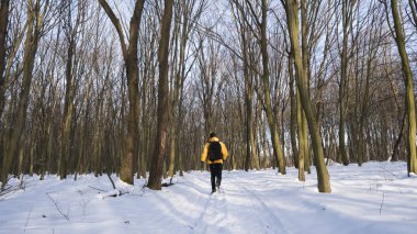 Adam sarı ceketli ve güneşli ormanda yürüyerek siyah fotoğraf sırt çantası ile bir karla kaplı.