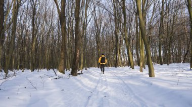Adam sarı ceketli ve güneşli ormanda yürüyerek siyah fotoğraf sırt çantası ile bir karla kaplı.