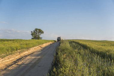 Bir buğday alanında bir yol boyunca mavi traktör sürmek.