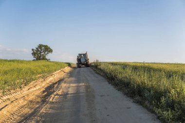 Bir buğday alanında bir yol boyunca mavi traktör sürmek.