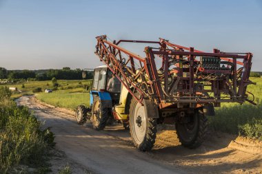 Bir buğday alanında bir yol boyunca tarım işleri için bir römork ile mavi bir traktör sürmek.
