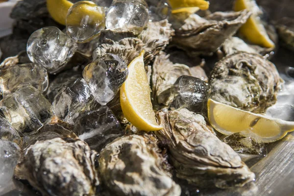 Bir foodfest güneşli bir günde buz limonlu istiridye. — Stok fotoğraf