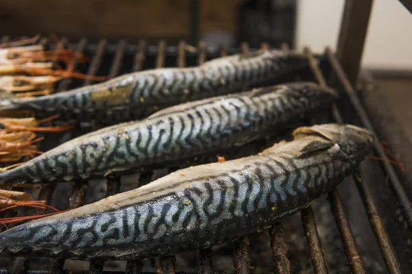 Appetitoso sgombro grigliato su un cibo fest. Cibo per animali . — Foto Stock