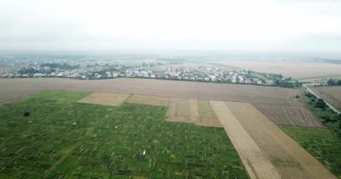 Akşam gün batımı gökyüzü ile genç yeşil alanların havadan görünümü. Olgunlaşan kulaklar buğdayı. Tarım. Doğal ürün. Tarımsal peyzaj.