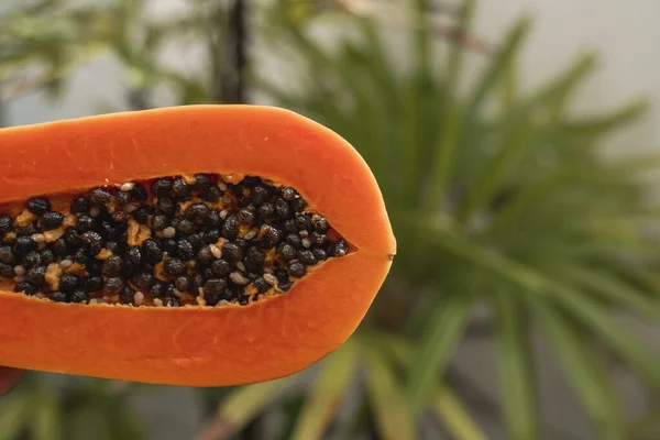 De helft van rijpe papaya met zaden met een groene plant op de achtergrond. Snijdt zoete papaja. Halve papaja 's. Gezonde exotische vruchten. Vegetarisch voedsel. — Stockfoto