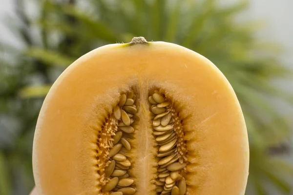 Fresh sweet orange melon with a palm tree on background. Useful and vitamin-rich food. Vegeterian. — ストック写真