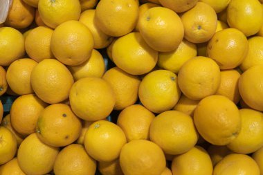 Piyasada doku ya da arka plan olarak bir sürü sarı limon var. Limon hasatı Sağlıklı ve vitaminli yiyecekler. Citrus meyveleri.