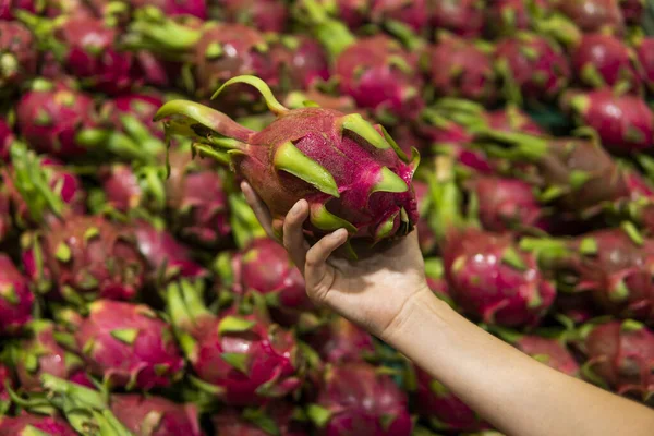 Male hands holding a dragon fruit with a lots of dragon fruit on a background. Dragon fruit or pitaya. Tropical and exotic fruits. Healthy and vitamin food concept.