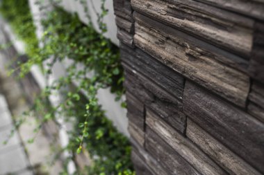 Doğal taş tuğlaları, yeşil bitkilerle döşenmiş bir duvardaki süs olarak kullanılıyor. Doğal taş duvar dokusu. Duvarlar taş ya da bilyeden yapılmış. Duvarlar ya da feolar için dekorasyon.