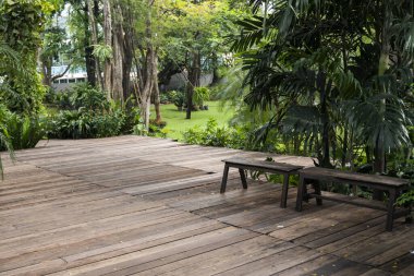 Güneşli bir günde ağacın altında..