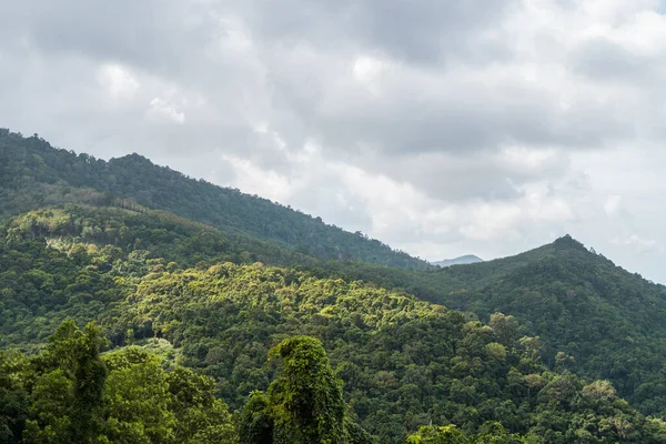 Collines de forêt tropicale d'été avec un ciel nuageux. Montagnes et nuages blancs sur un ciel bleu. Tropical vacances d'été concept . — Photo