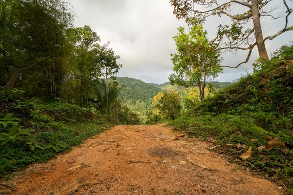 Un chemin de terre entre la jungle et les montagnes. Chemin de terre rural dans la forêt tropicale en Thaïlande . — Photo