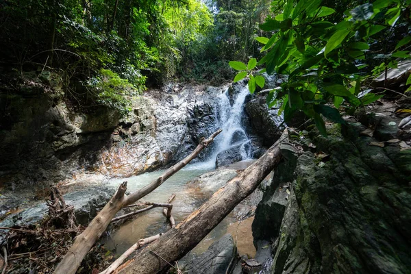 Cascade tropicale secrète dans la jungle sur une île de Samui . — Photo