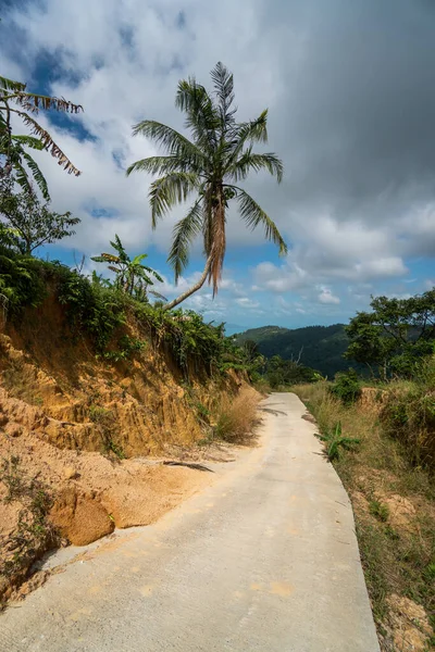 Un chemin de terre entre la jungle et les montagnes. Chemin de terre rural dans la forêt tropicale en Thaïlande . — Photo