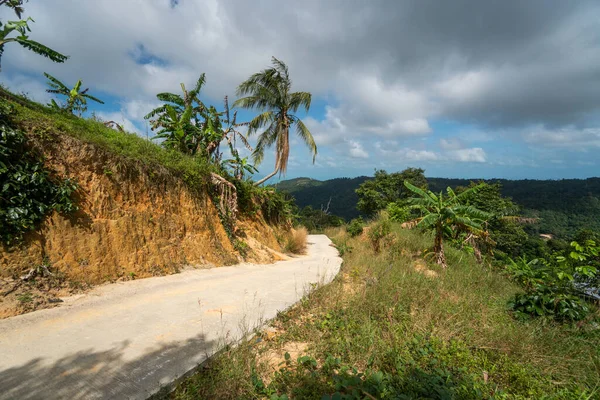 Un chemin de terre entre la jungle et les montagnes. Chemin de terre rural dans la forêt tropicale en Thaïlande . — Photo