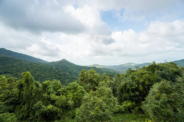 Collines de forêt tropicale d'été avec un ciel nuageux. Montagnes et nuages blancs sur un ciel bleu. Tropical vacances d'été concept . — Photo