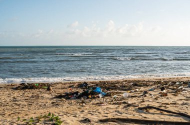 KOH SAMUI, THAILAND - 15 Aralık 2019: Plastik şişeler ve Koh Samui adasındaki deniz kıyısındaki diğer çöpler gibi plaj kirliliği. Bu çöpler deniz suyuyla kıyıya savruldu..