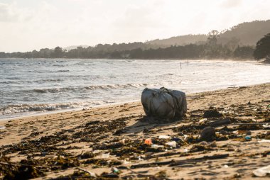 KOH SAMUI, THAILAND - 15 Aralık 2019: Plastik şişeler ve Koh Samui adasındaki deniz kıyısındaki diğer çöpler gibi plaj kirliliği. Bu çöpler deniz suyuyla kıyıya savruldu..