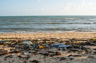 KOH SAMUI, THAILAND - 15 Aralık 2019: Plastik şişeler ve Koh Samui adasındaki deniz kıyısındaki diğer çöpler gibi plaj kirliliği. Bu çöpler deniz suyuyla kıyıya savruldu..