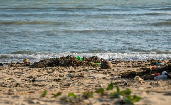 KOH SAMUI, THAILAND - 15. Dezember 2019: Strandverschmutzung durch Plastikflaschen und anderen Müll am Meeresstrand der Insel Koh Samui. Dieser Müll wurde von Meerwasser in die Küste geweht. — Stockfoto