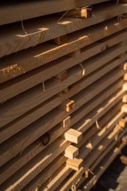 Güneş ışığı ve ahşap desenli kereste atölyesindeki istiflenmiş kerestelerin detaylı görüntüsü