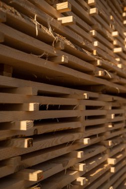 Kereste fabrikasında, marangozlukta ve inşaat malzemelerinde istiflenmiş ahşap tahtaların üzerine sıcak güneş ışığı