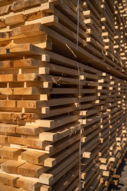 Güneş ışığı, inşaat ve marangozluk malzemelerinin altındaki kereste fabrikasında düzgünce istiflenmiş tahta tahtalar.