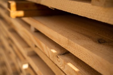 Güneş ışığı, marangozluk ve ahşap işçiliği altında kereste deposuna istiflenmiş ahşap kalasların detaylı dokusu.