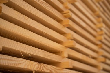 Tahta kalaslar düzenli sıralarda, sıcak güneş ışığı altında kereste fabrikasında..