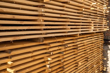 Güneş ışığı, inşaat ve eko kereste deposunda düzgünce düzenlenmiş tahta yığınları..