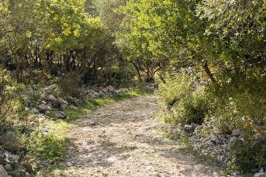 Doğal manzara Cava Carosello Noto - Sicilya - İtalya