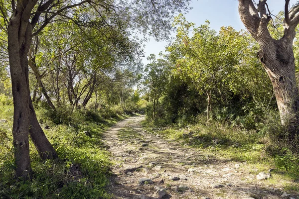 Doğal manzara Cava Carosello Noto - Sicilya - İtalya