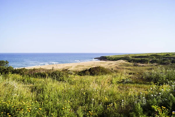 Landscapes Eloro Beach Noto Sicily Italy — Stock Photo, Image