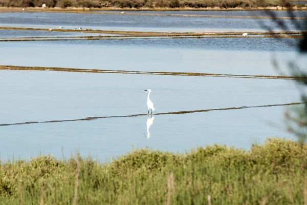 Paisajes Reserva Natural Vendicari Sicilia Italia — Foto de Stock