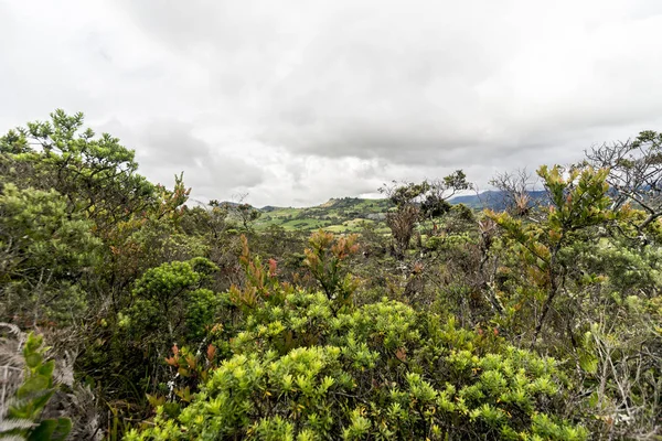 Natürliche Landschaften Der Lagune Guatavita Sesquile Cundinamarca Kolumbien — Stockfoto