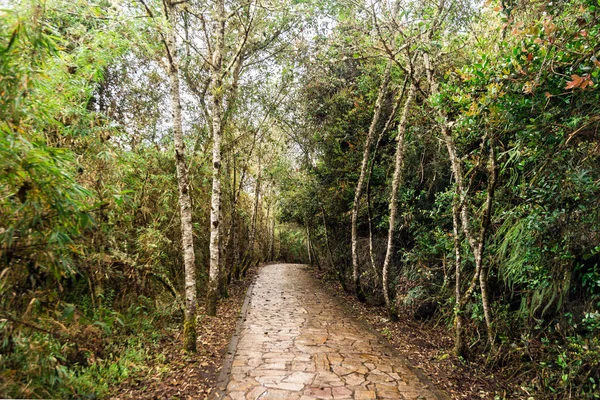 Paisagens Naturais Lagoa Guatavita Sesquile Cundinamarca Colômbia — Fotografia de Stock