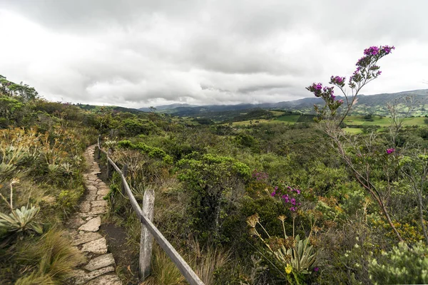Φυσικά Τοπία Της Λιμνοθάλασσας Guatavita Στο Sesquile Cundinamarca Κολομβία — Φωτογραφία Αρχείου