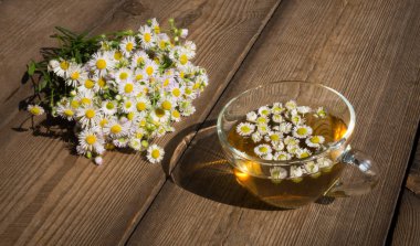 ahşap bir masa üzerinde papatya çiçeği ile bitkisel çay
