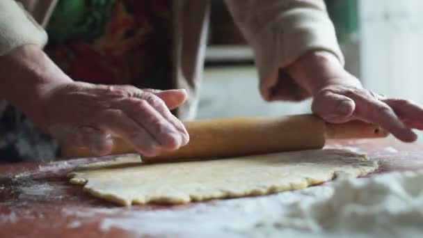 Woman Kneading Dough Flour Table — Stock Video