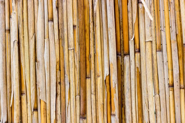 Light textural reed background. Natural natural and ecological material. Material from the dead parts of the semi-aquatic plant.