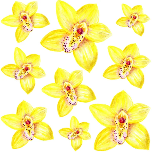 Flowers of yellow orchids, pattern for printing. Watercolor drawing.Pattern for printing, for fabric, clothing.