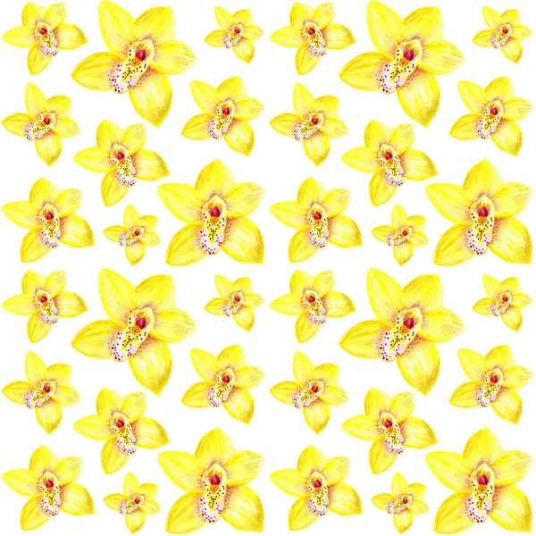 Flowers of yellow orchids, pattern for printing. Watercolor illustration. Pattern with orchid flowers. Pattern for printing, for fabric, clothing, packaging.