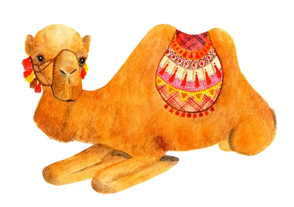 Ψέματα Καμήλα Διακοσμημένο Λαμπερά Αξεσουάρ Ακουαρέλα Εικονογράφηση Ψέματα Καμήλα Φαίνεται — Φωτογραφία Αρχείου