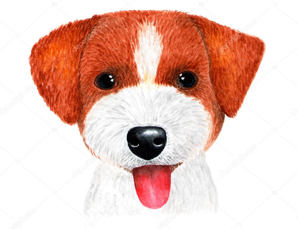Puppy Jack Russell Terrier. Watercolor illustration.Portrait of puppy Jack Russell Terrier. Illustration for printing on t-shirts.